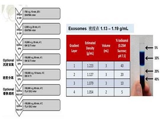 Exosome：功能那么強(qiáng)，提取并不難